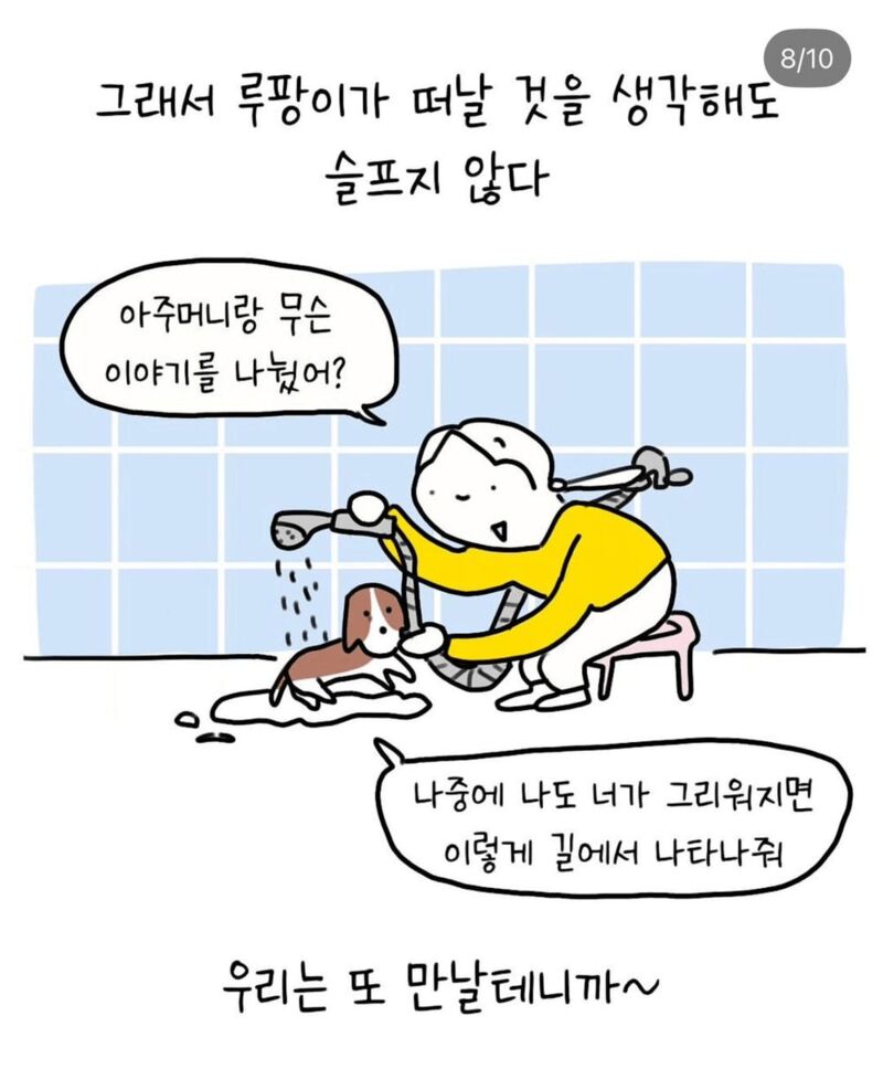 반려견 산책중 만난 아줌마 | 인스티즈