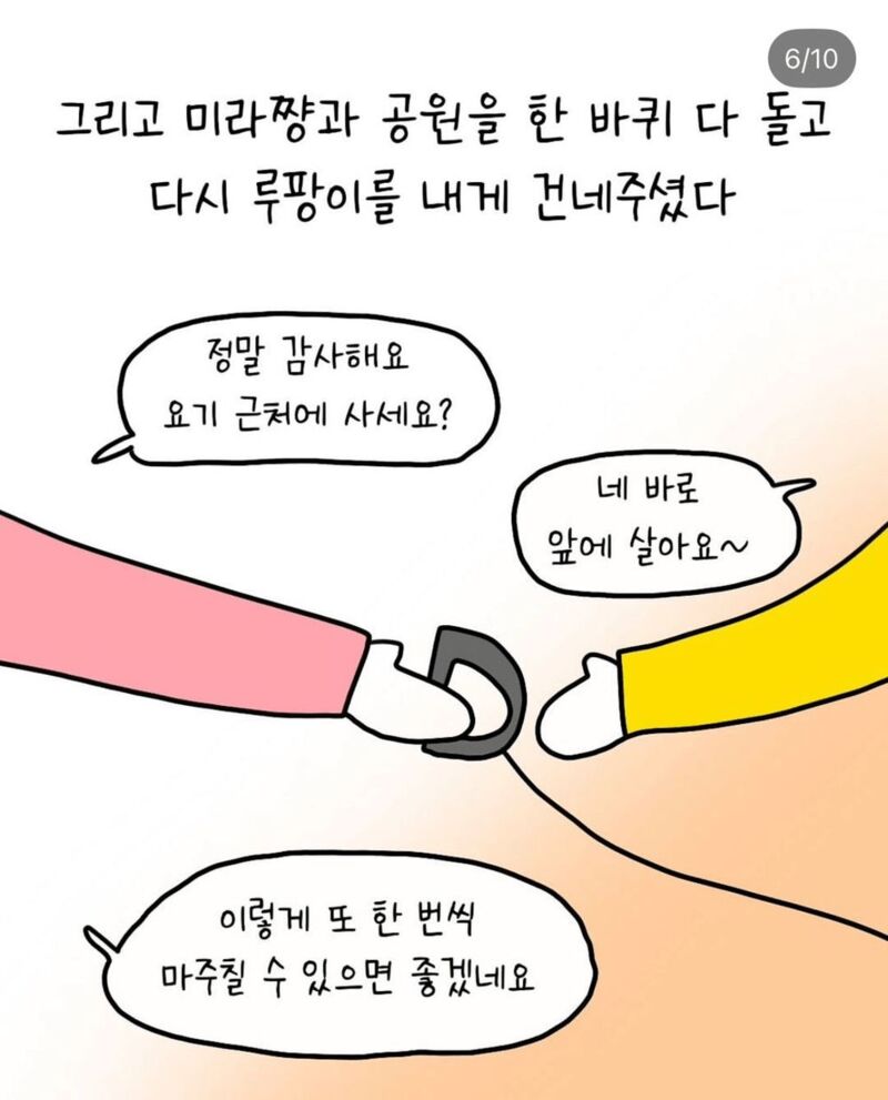 반려견 산책중 만난 아줌마 | 인스티즈