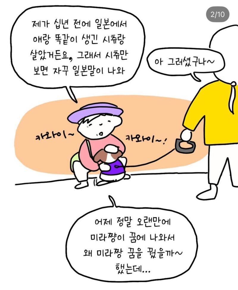반려견 산책중 만난 아줌마 | 인스티즈