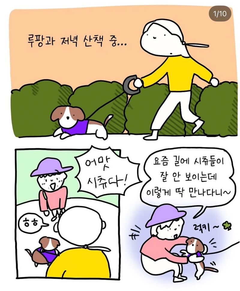 반려견 산책중 만난 아줌마 | 인스티즈