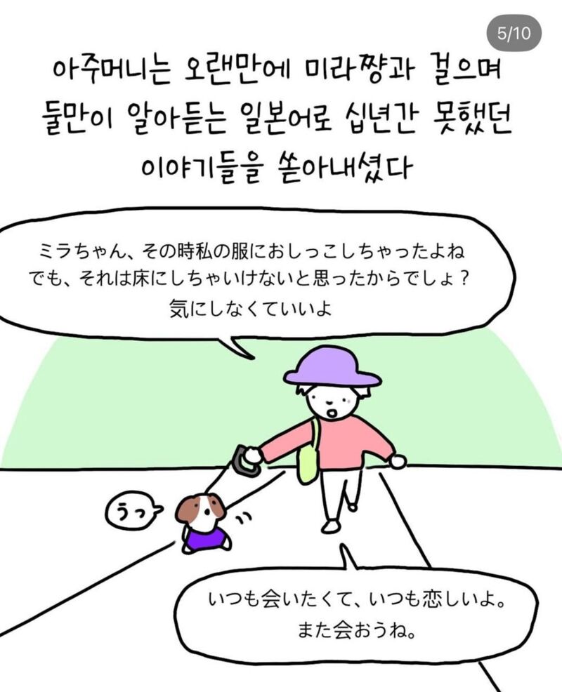 반려견 산책중 만난 아줌마 | 인스티즈
