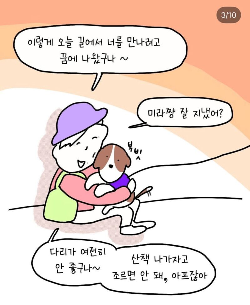 반려견 산책중 만난 아줌마 | 인스티즈