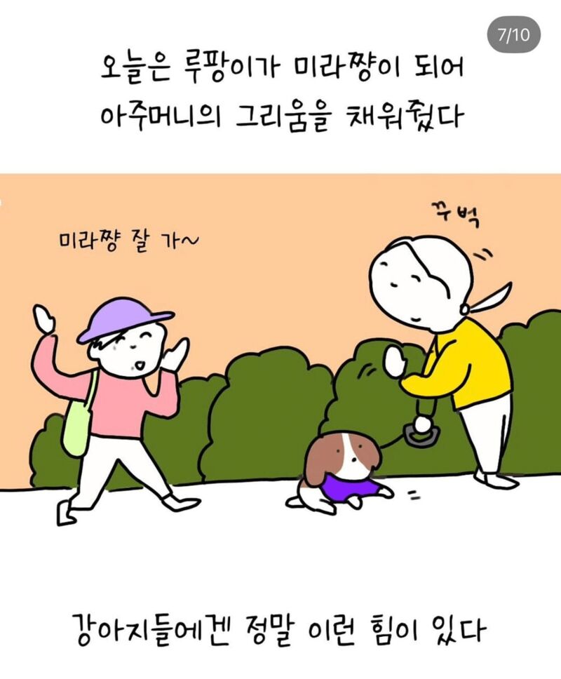반려견 산책중 만난 아줌마 | 인스티즈