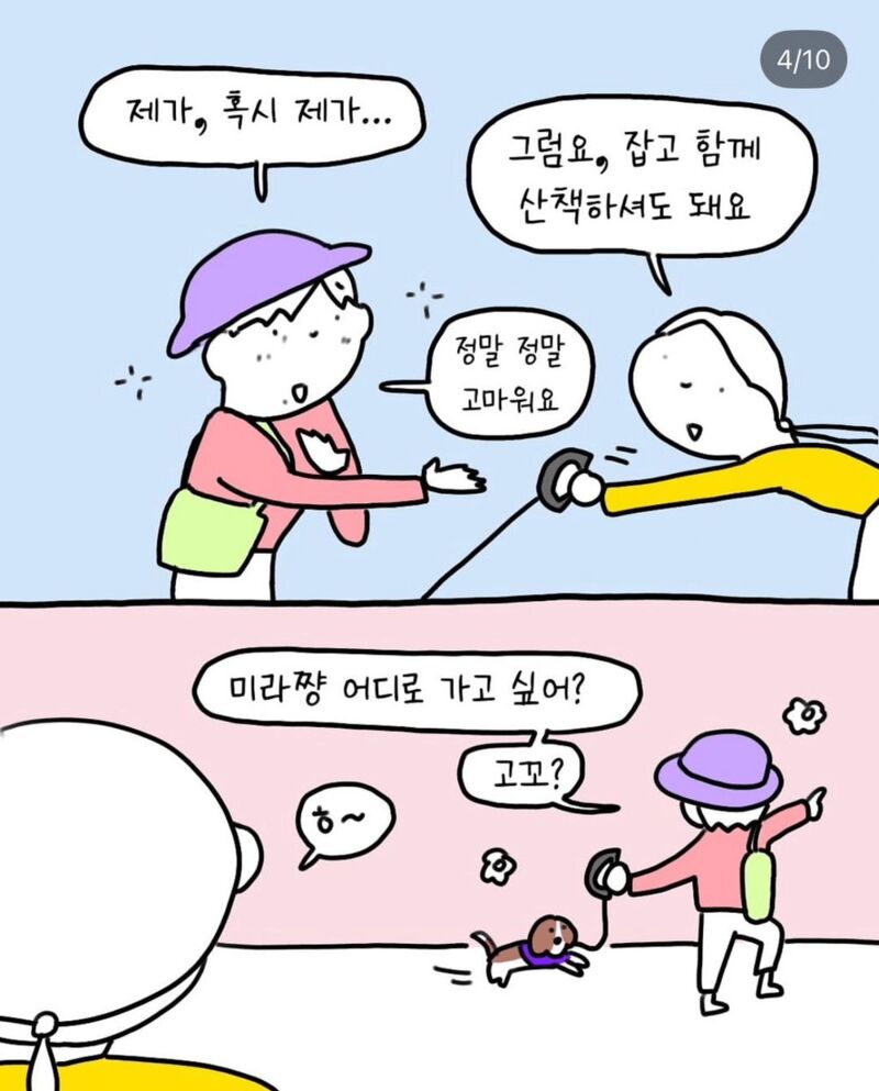 반려견 산책중 만난 아줌마 | 인스티즈