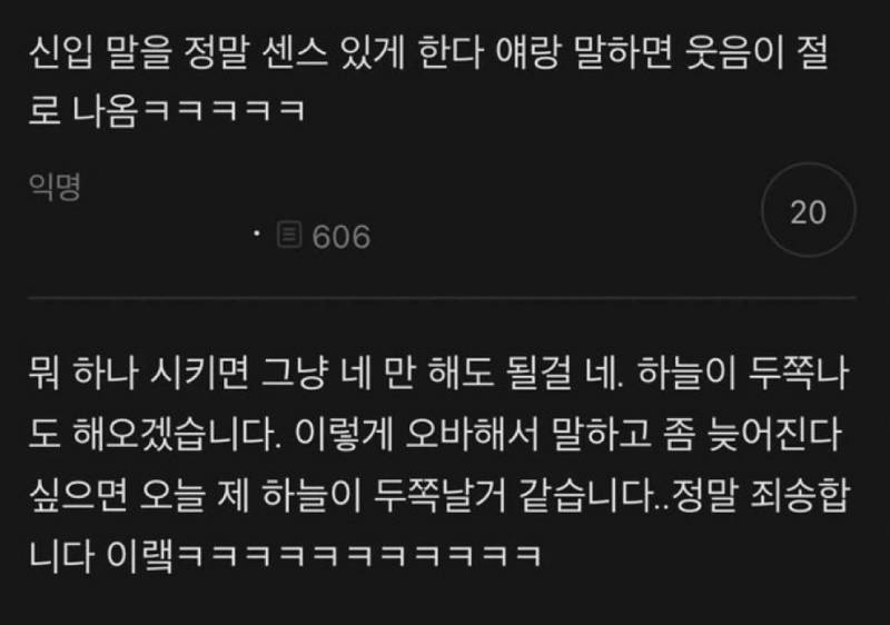 [잡담] 익들 이런 신입어때??? 사진잇음 | 인스티즈