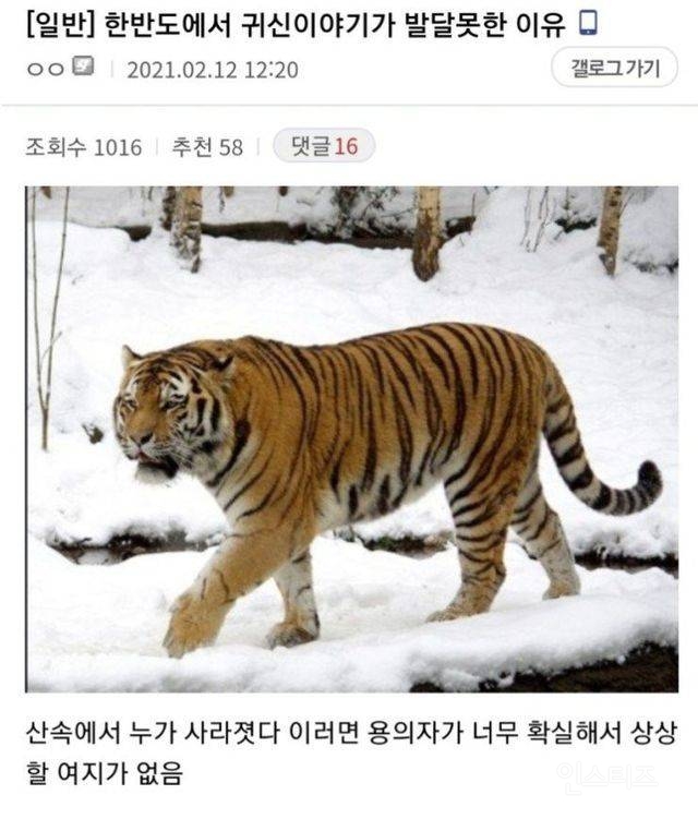 한국이 중국 일본 보다 귀신 이야기가 적은 이유 | 인스티즈