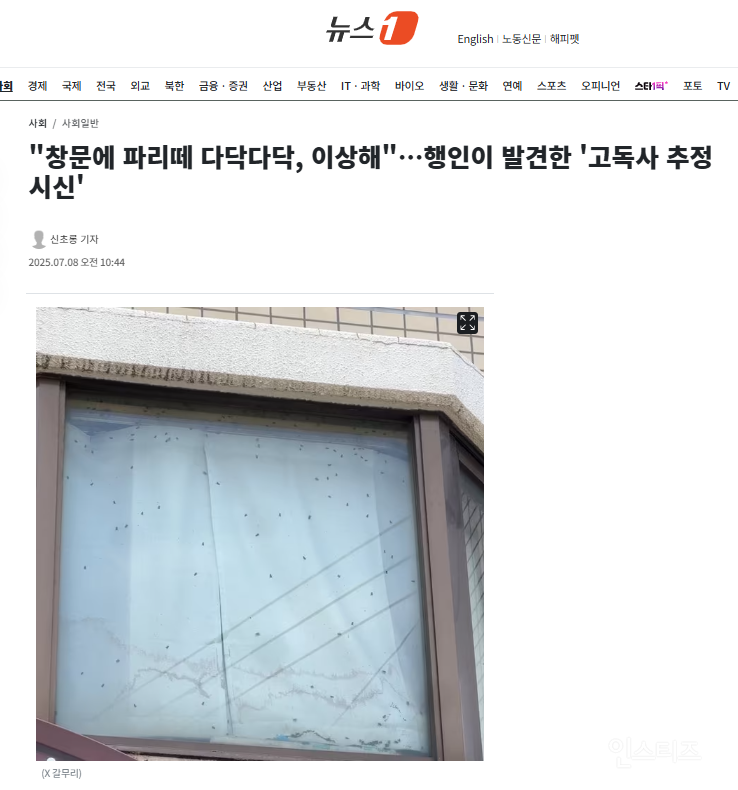"창문에 파리떼 다닥다닥, 이상해"…행인이 발견한 '고독사 추정 시신' | 인스티즈