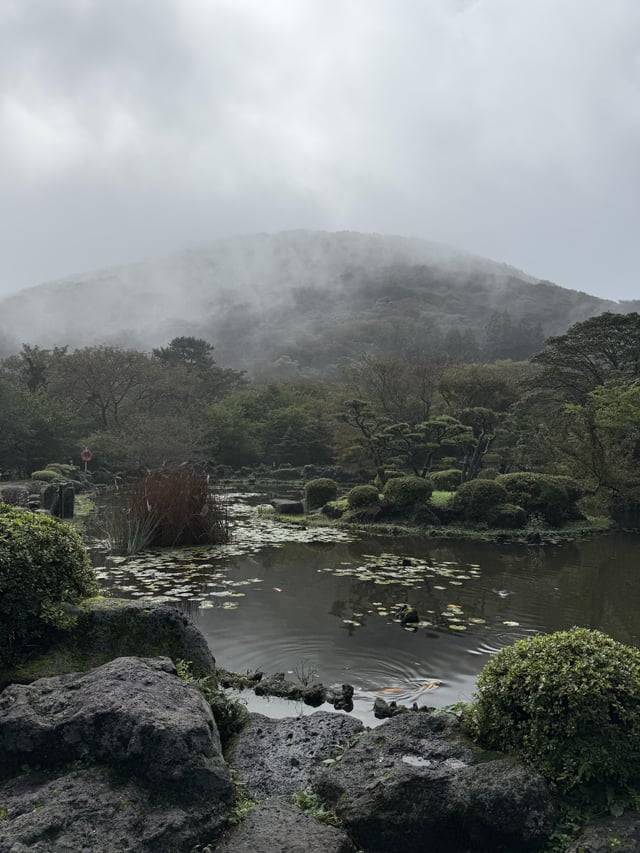 외국인들이 레딧에 올린 아름다운 섬, 제주도 사진 | 인스티즈