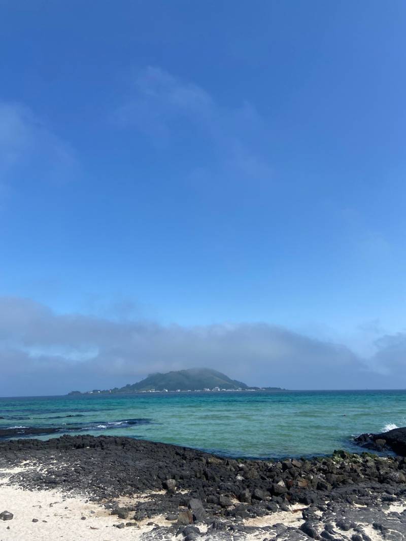 외국인들이 레딧에 올린 아름다운 섬, 제주도 사진 | 인스티즈
