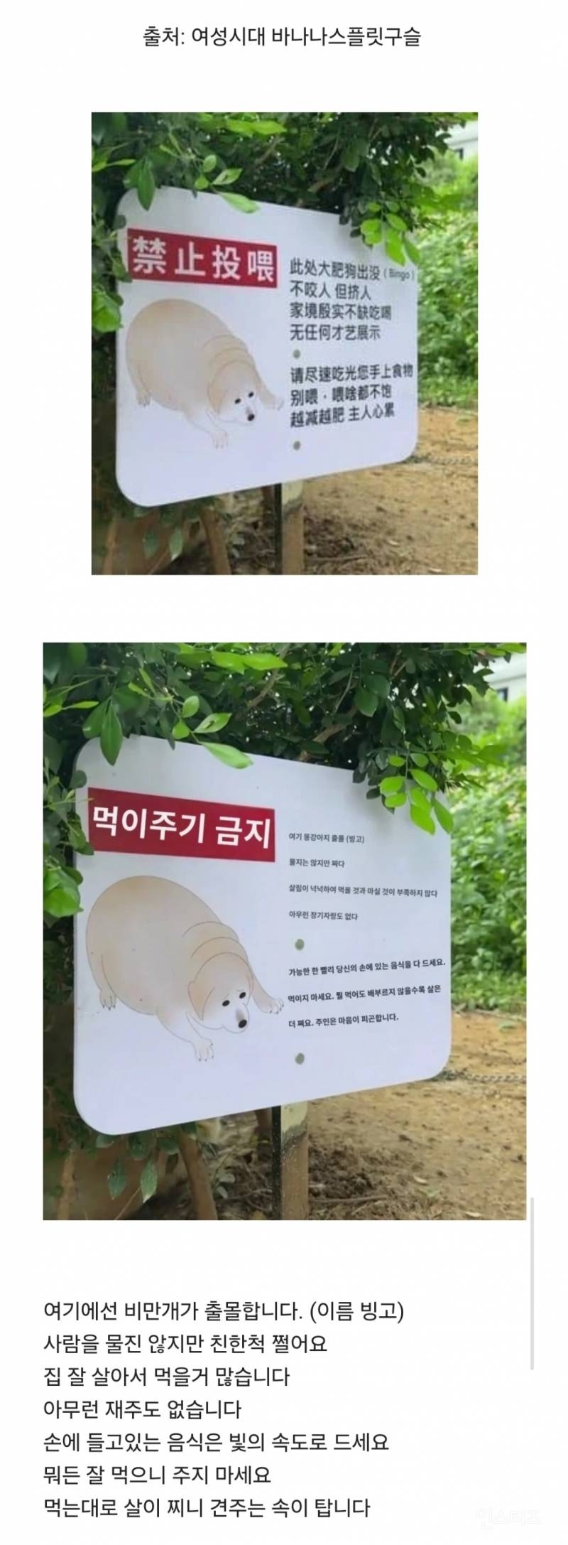 중국의 강아지에게 먹이주지 말라는 표지판 | 인스티즈