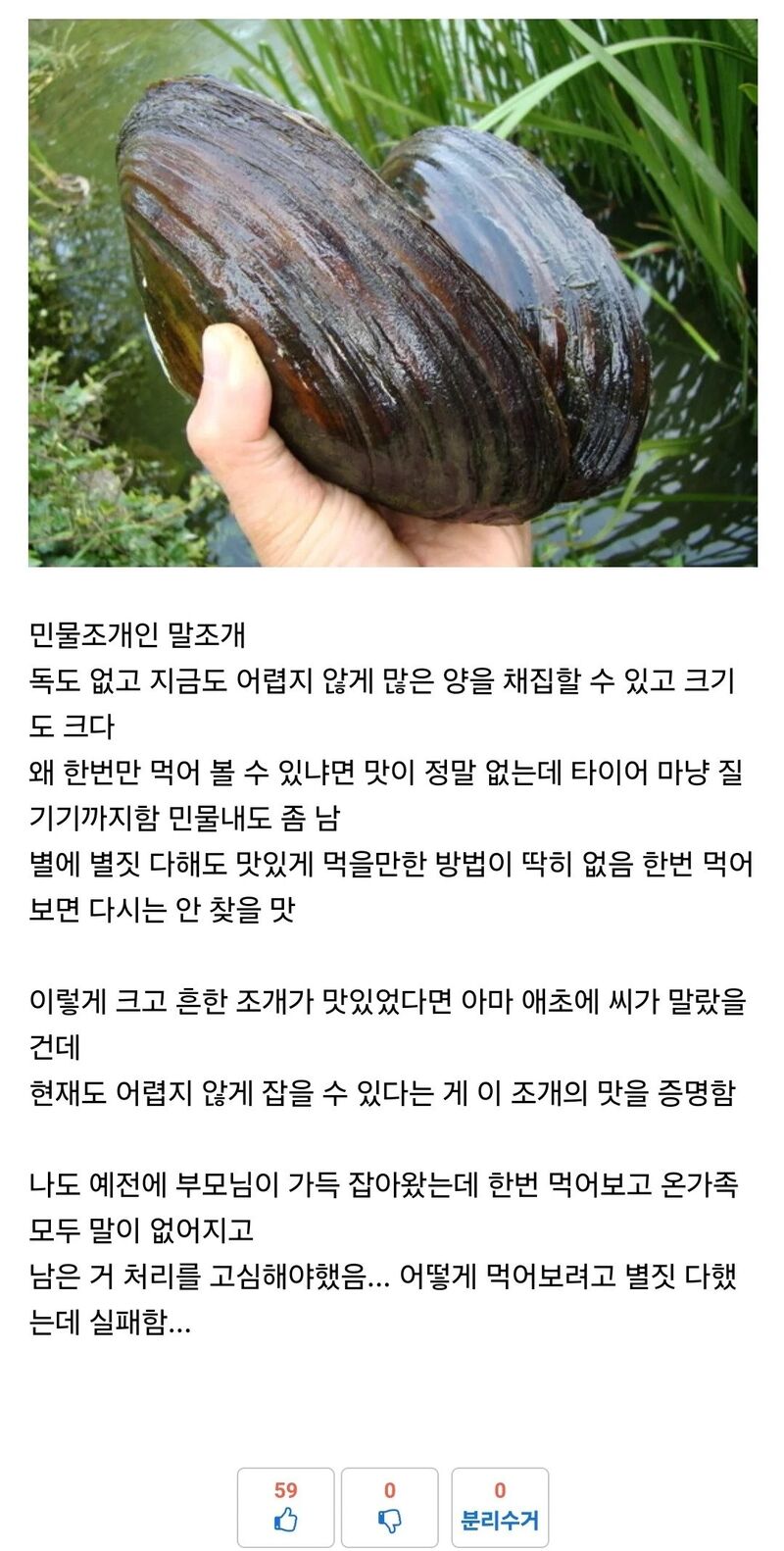 독은 없는데 살면서 딱 한번만 먹을 수 있다는 음식 | 인스티즈