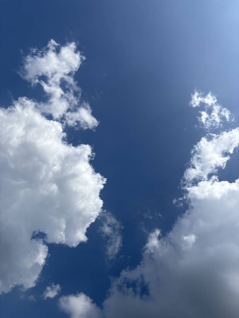 [잡담] 지금 하늘 좀 봐 | 인스티즈