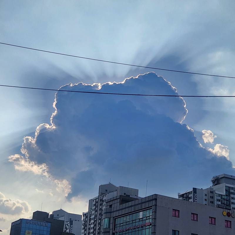 [잡담] 뭐 내려오는 줄 알았음 | 인스티즈