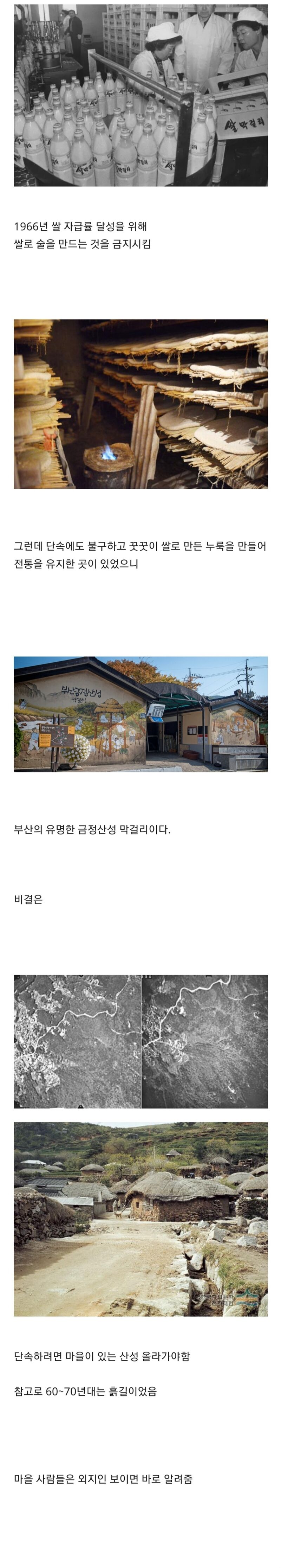 쌀 막걸리가 불법이던 시절 양조장의 생존법 | 인스티즈