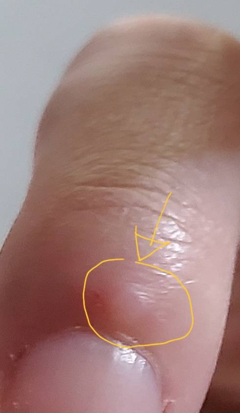 [잡담] 손톱 큐티클 밑에 이거 몰까 | 인스티즈
