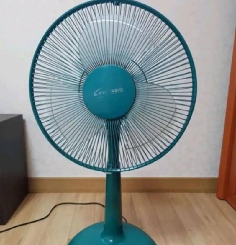 [잡담] 90년대에 유독 유행했던 가전가구색상이래 | 인스티즈