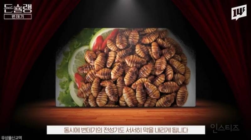 한국에서 번데기는 언제부터 먹었을까?jpg | 인스티즈