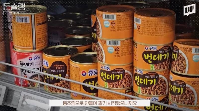 한국에서 번데기는 언제부터 먹었을까?jpg | 인스티즈