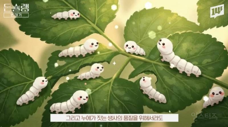 한국에서 번데기는 언제부터 먹었을까?jpg | 인스티즈