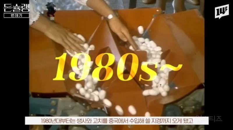 한국에서 번데기는 언제부터 먹었을까?jpg | 인스티즈