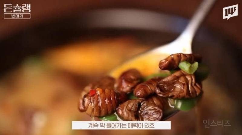 한국에서 번데기는 언제부터 먹었을까?jpg | 인스티즈