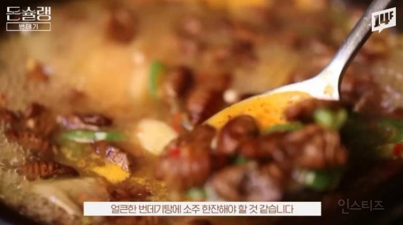한국에서 번데기는 언제부터 먹었을까?jpg | 인스티즈