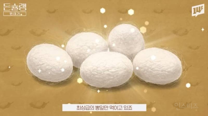 한국에서 번데기는 언제부터 먹었을까?jpg | 인스티즈