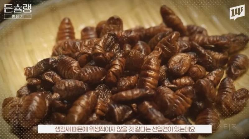 한국에서 번데기는 언제부터 먹었을까?jpg | 인스티즈