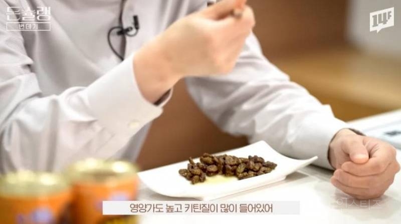 한국에서 번데기는 언제부터 먹었을까?jpg | 인스티즈