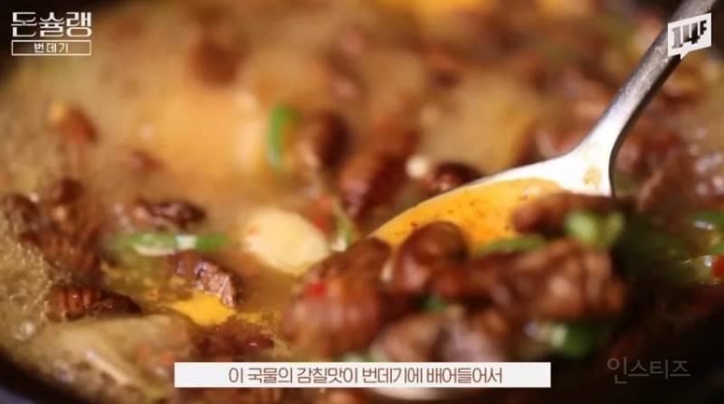 한국에서 번데기는 언제부터 먹었을까?jpg | 인스티즈