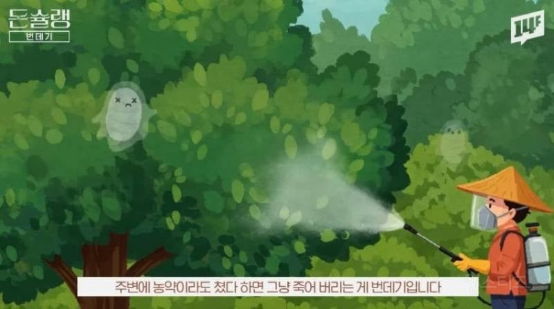 한국에서 번데기는 언제부터 먹었을까?jpg | 인스티즈