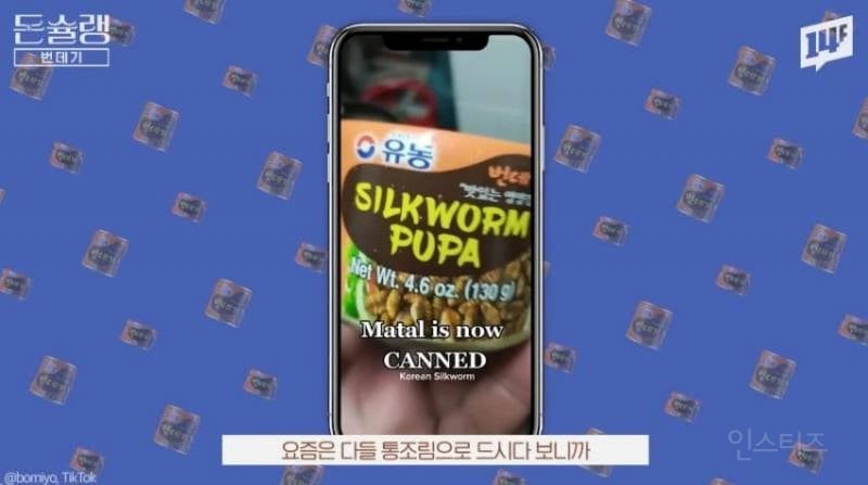 한국에서 번데기는 언제부터 먹었을까?jpg | 인스티즈