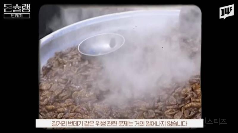 한국에서 번데기는 언제부터 먹었을까?jpg | 인스티즈