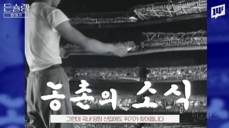 한국에서 번데기는 언제부터 먹었을까?jpg | 인스티즈