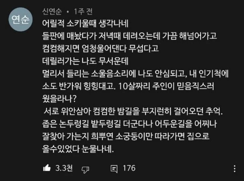 소는 영리하다.jpg | 인스티즈