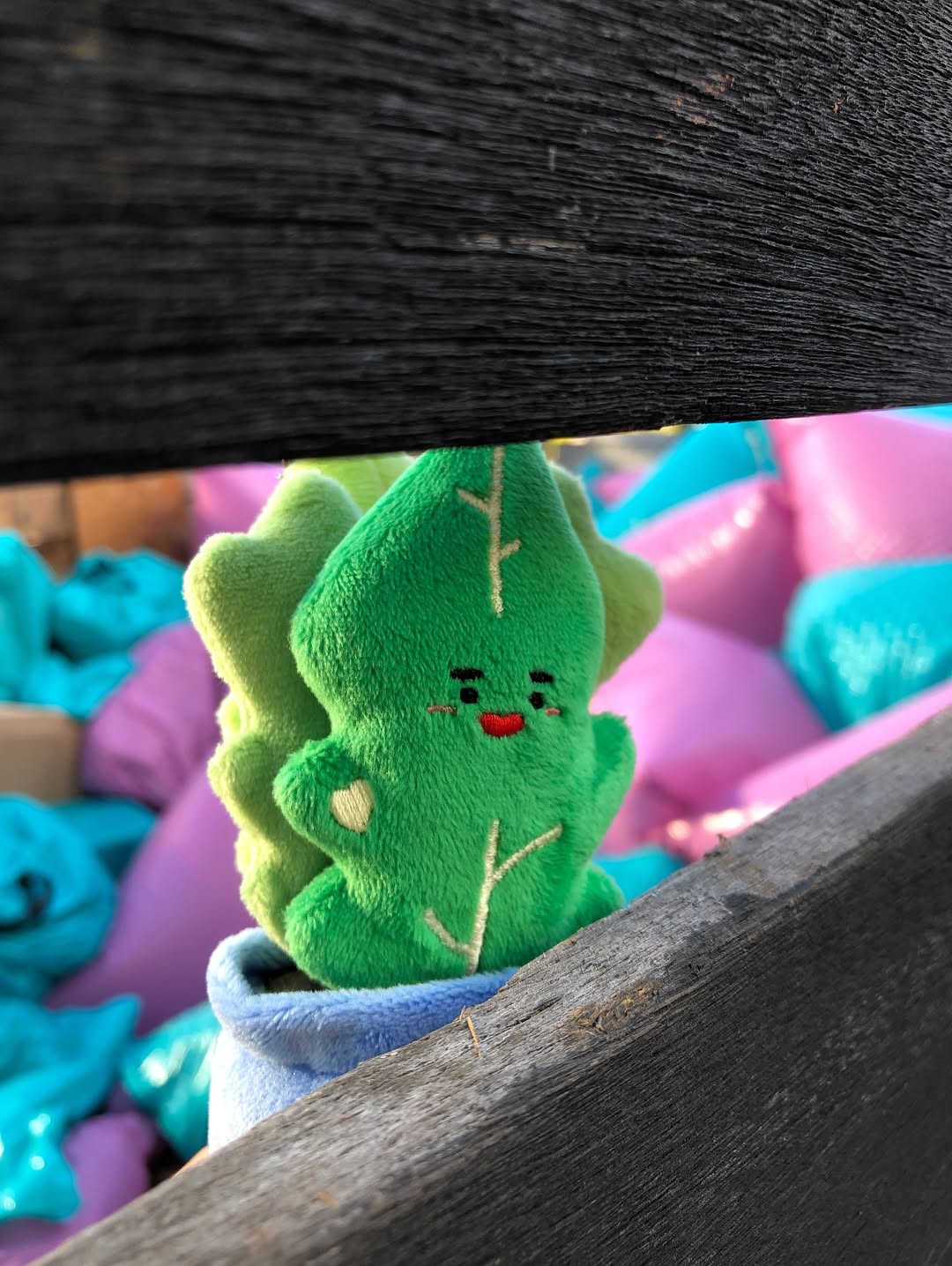 [잡담] 시금치 인형 봤어?? | 인스티즈
