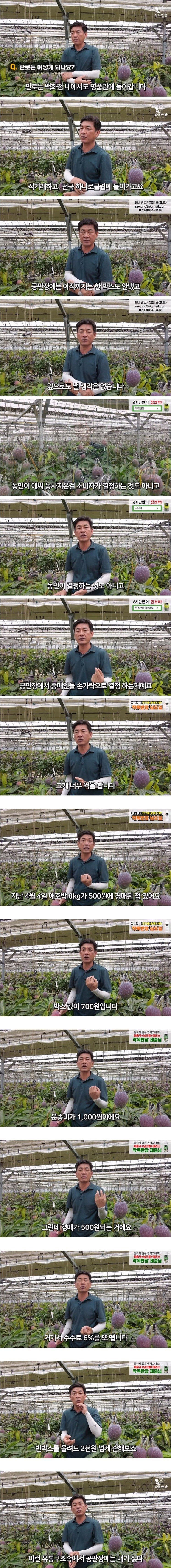 공판장엔 납품 안 한다는 사장님 | 인스티즈