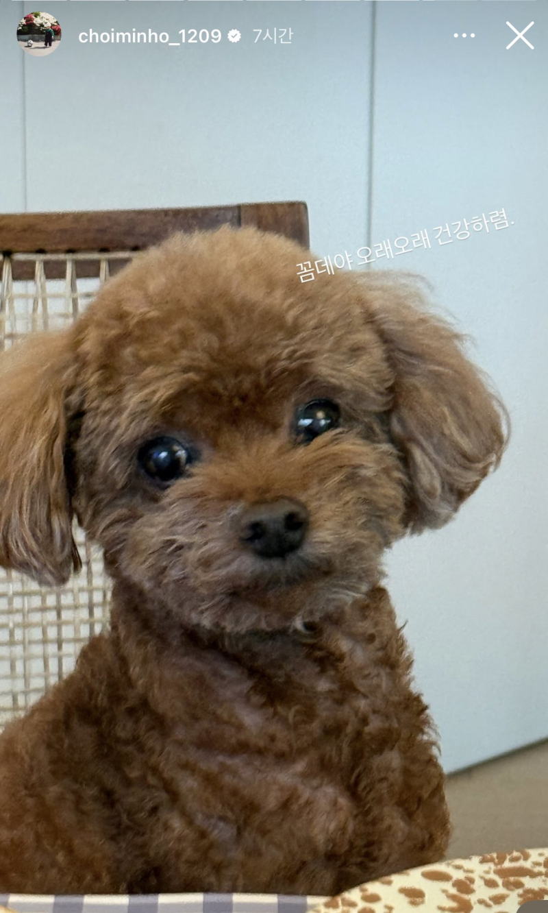 샤이니 키 집들이 간 민호 (??: 티격태격하지만 둘이 굳이 맨날 붙어있어요) | 인스티즈