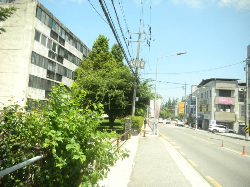 [잡담] 내카메라 필카 느낌 나는거같아? | 인스티즈