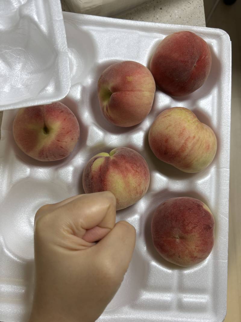 [잡담] 얘들아 복숭아가 원래 이렇개 작아? | 인스티즈