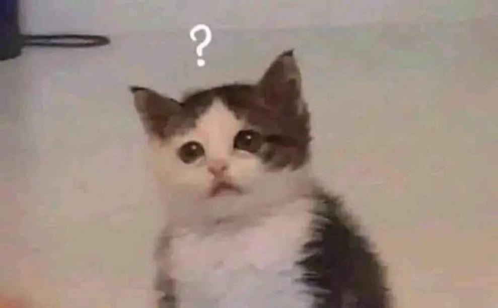 [잡담] 대군부인) 그래서 누가 희주고 누가 이완이라고? | 인스티즈