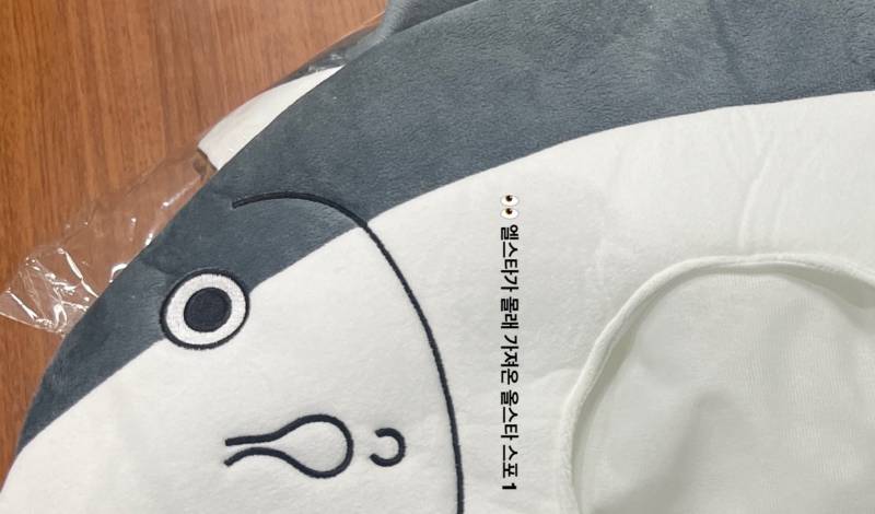[잡담] 에반데 채이 내일 이거 쓰고 나오는 거 아니겠지???? 제발 ㅠㅠㅠㅠㅠ | 인스티즈