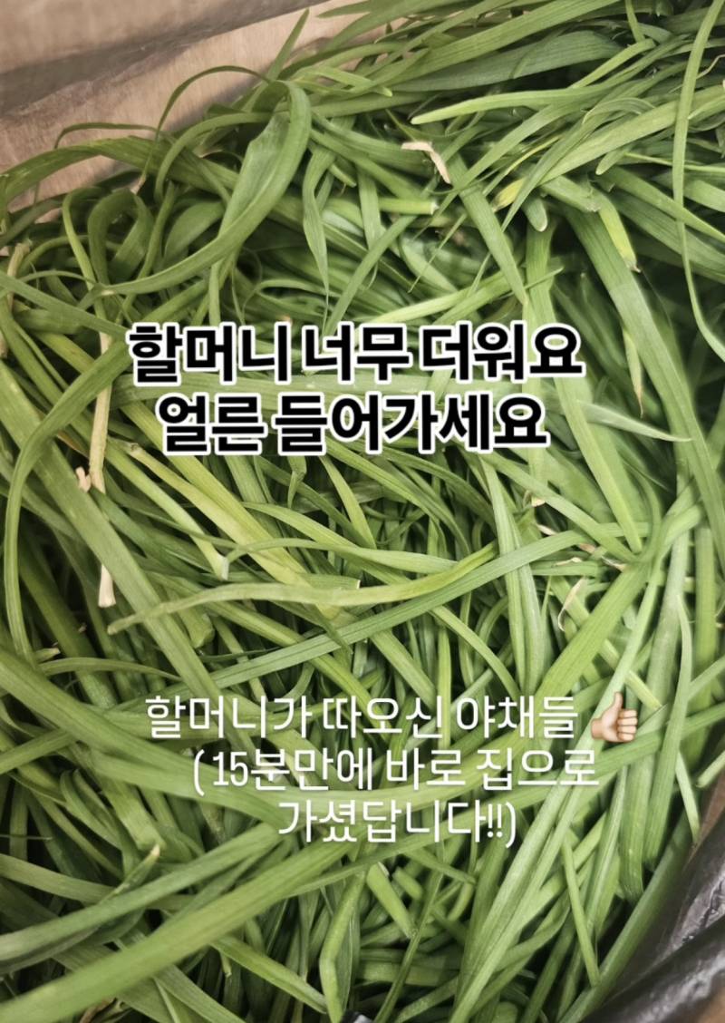 요즘 극한 날씨땜에 무분별하게 퍼지고 있다는 컨텐츠 | 인스티즈