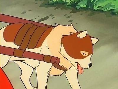 [잡담] 살찌니까 여름에 걷는거 지옥이다 진심 | 인스티즈