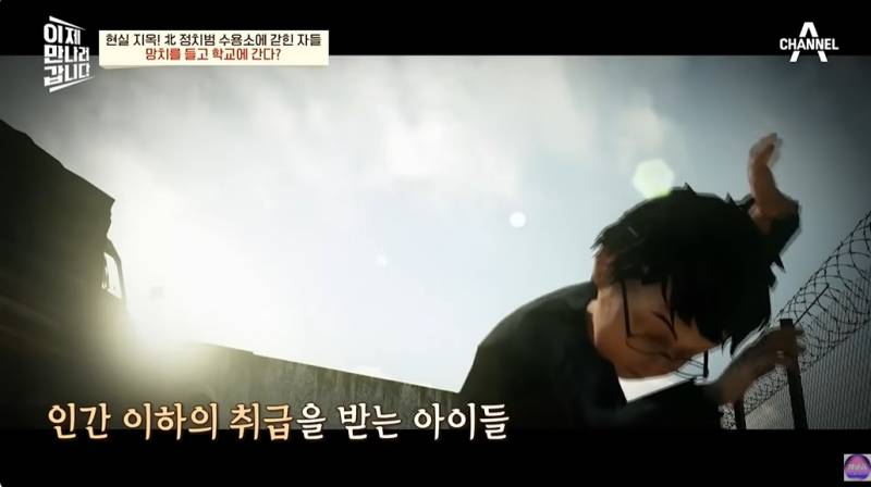현대판 아우슈비츠라는 북한 정치범수용소 | 인스티즈