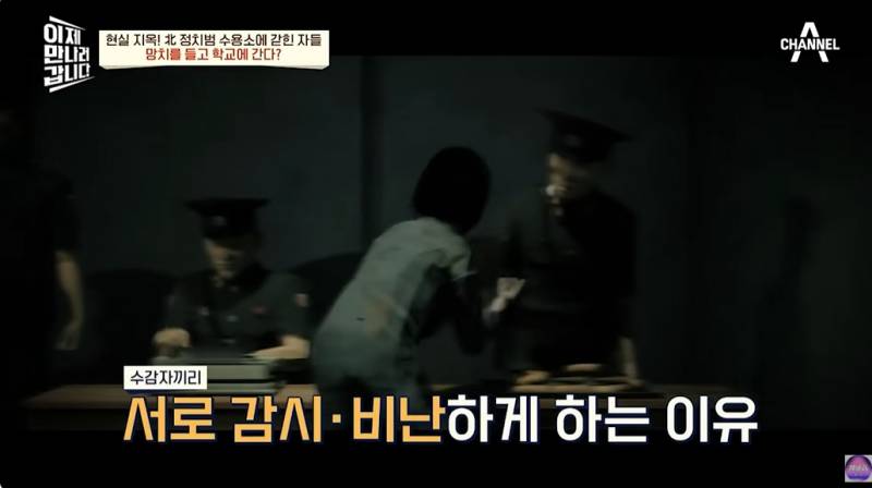 현대판 아우슈비츠라는 북한 정치범수용소 | 인스티즈