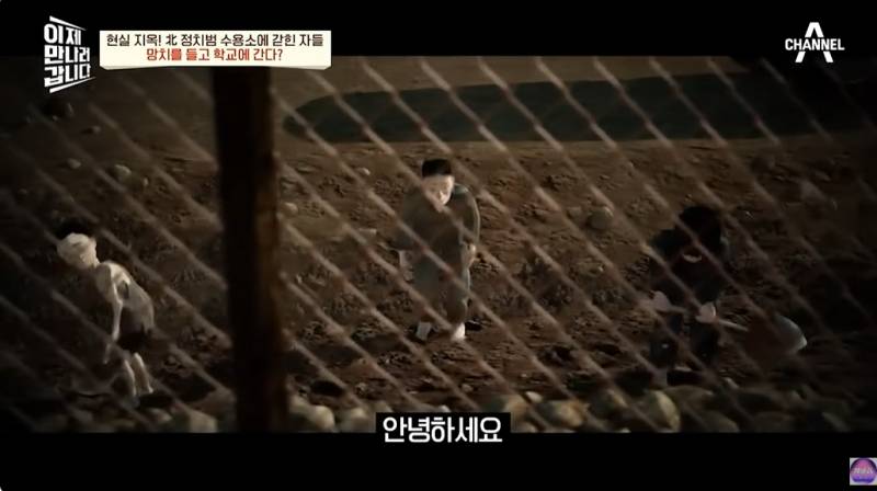 현대판 아우슈비츠라는 북한 정치범수용소 | 인스티즈
