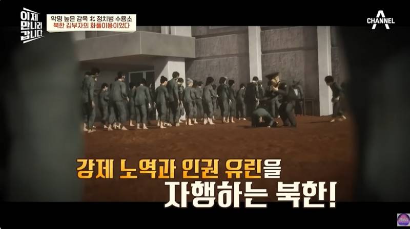 현대판 아우슈비츠라는 북한 정치범수용소 | 인스티즈