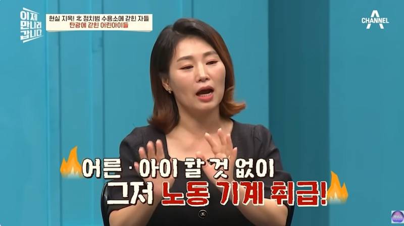 현대판 아우슈비츠라는 북한 정치범수용소 | 인스티즈