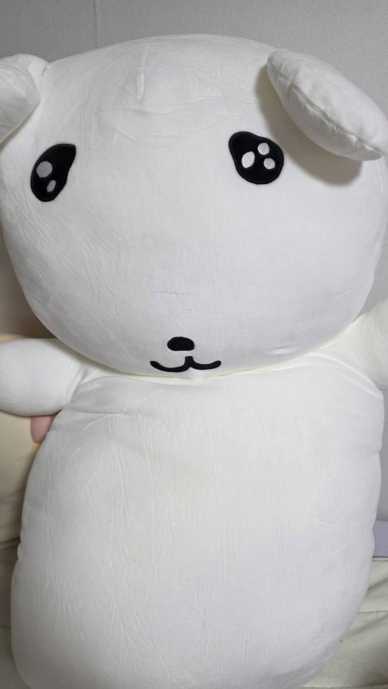 [잡담] 듀 가나디 인형 왔는데 얼굴에 흉 있음 ㅠ | 인스티즈